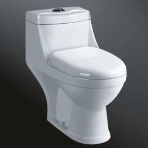 Ceramic Water Closet