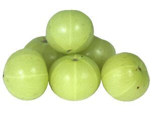 Amla Extract(tannins 40%)