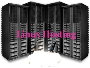 Domain Web Hosting Services