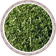 Coriander Leaves