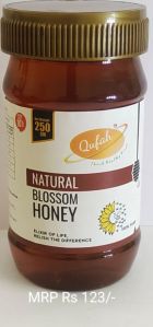 250 GM Natural Blossom Honey