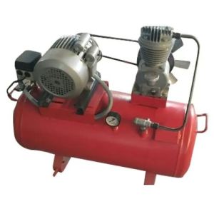 ELGI Air Compressor