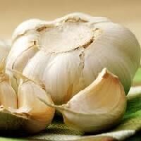 Garlic Extract