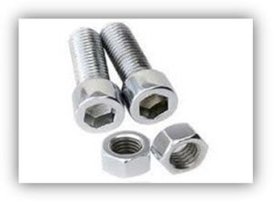 Hastelloy Nut Bolts and Fastener