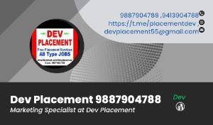 Placement Consultant