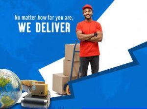 International & Domestic Courier Cargo Services /+91-9920216805