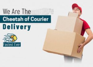 house hold items courier services