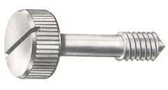 Captive screw