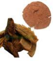 Ashoka Bark Extract