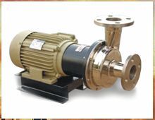 MAGNETIC DRIVEN SS PUMP