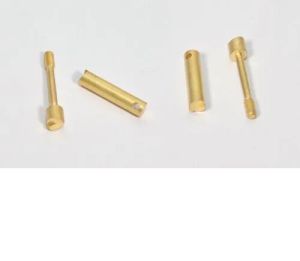 Brass holder Pin
