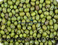 Mung Beans