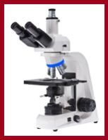 Laboratory Binocular Microscope