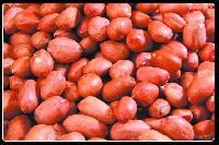 Hps Groundnuts