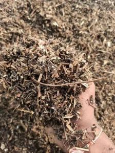 Dry Whole Plant Tulsi