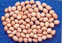 Hps Groundnuts