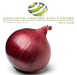 Dehydrated onion exports