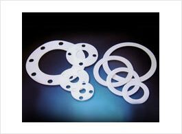 PTFE Gasket