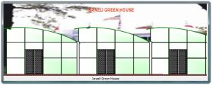 Israeli Green House