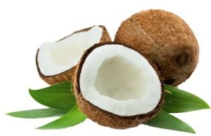 Coconut