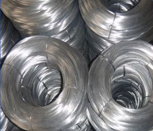 Electroplated Galvanized Mild Steel Wire