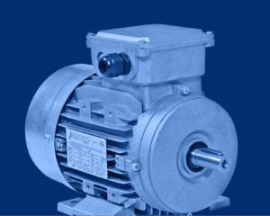 Worm Gearboxes