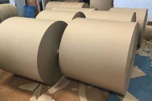 Kraft fluting & Test Liners