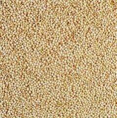 Amaranth Seeds