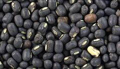 Black Gram Seeds