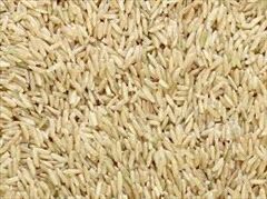 Brown Basmati Rice