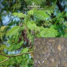 ORGANIC ACACIA HERBS