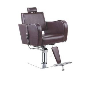 Salon Chair