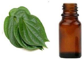 Betel Leaf Oil