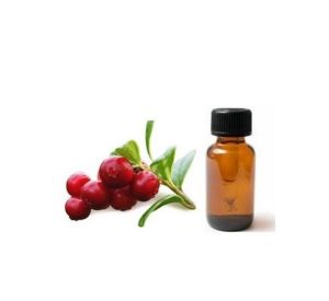 Lingonberry Oil