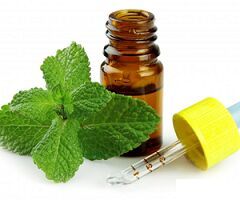 mint essential oil