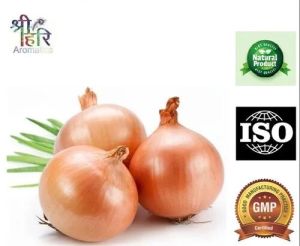 Onion Extract