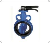 Butterfly Valve