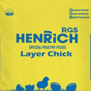 Layer Chicken Feed