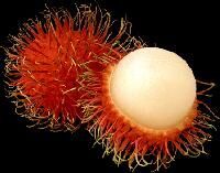 Rambutan