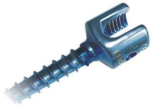 Sacral Screw