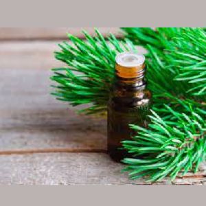 Fir Needle Oil