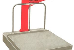 Portable Platform Scale