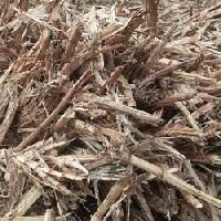 Sugarcane Bagasse