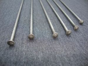 SS Wire Nail