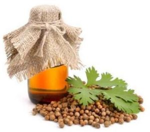 Coriander Oil