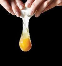 liquid egg