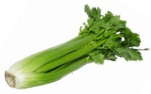 Celery