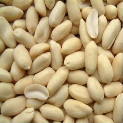 Groundnut Blanched