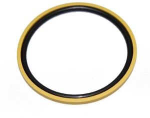 PTFE Piston Seal