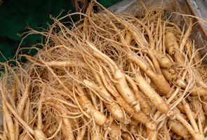 ginseng roots